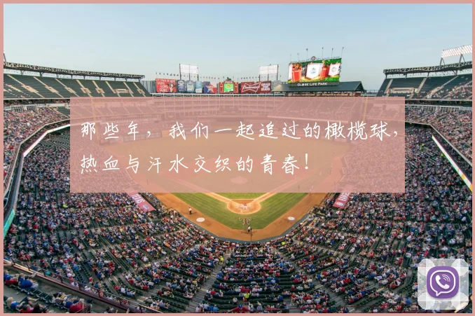 那些年，我们一起追过的橄榄球，热血与汗水交织的青春！