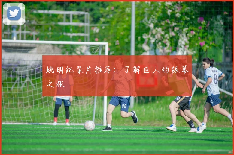 姚明纪录片推荐：了解巨人的银幕之旅
