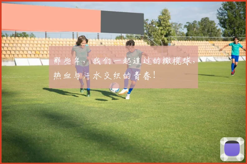 那些年,我们一起追过的橄榄球,热血与汗水交织的青春!